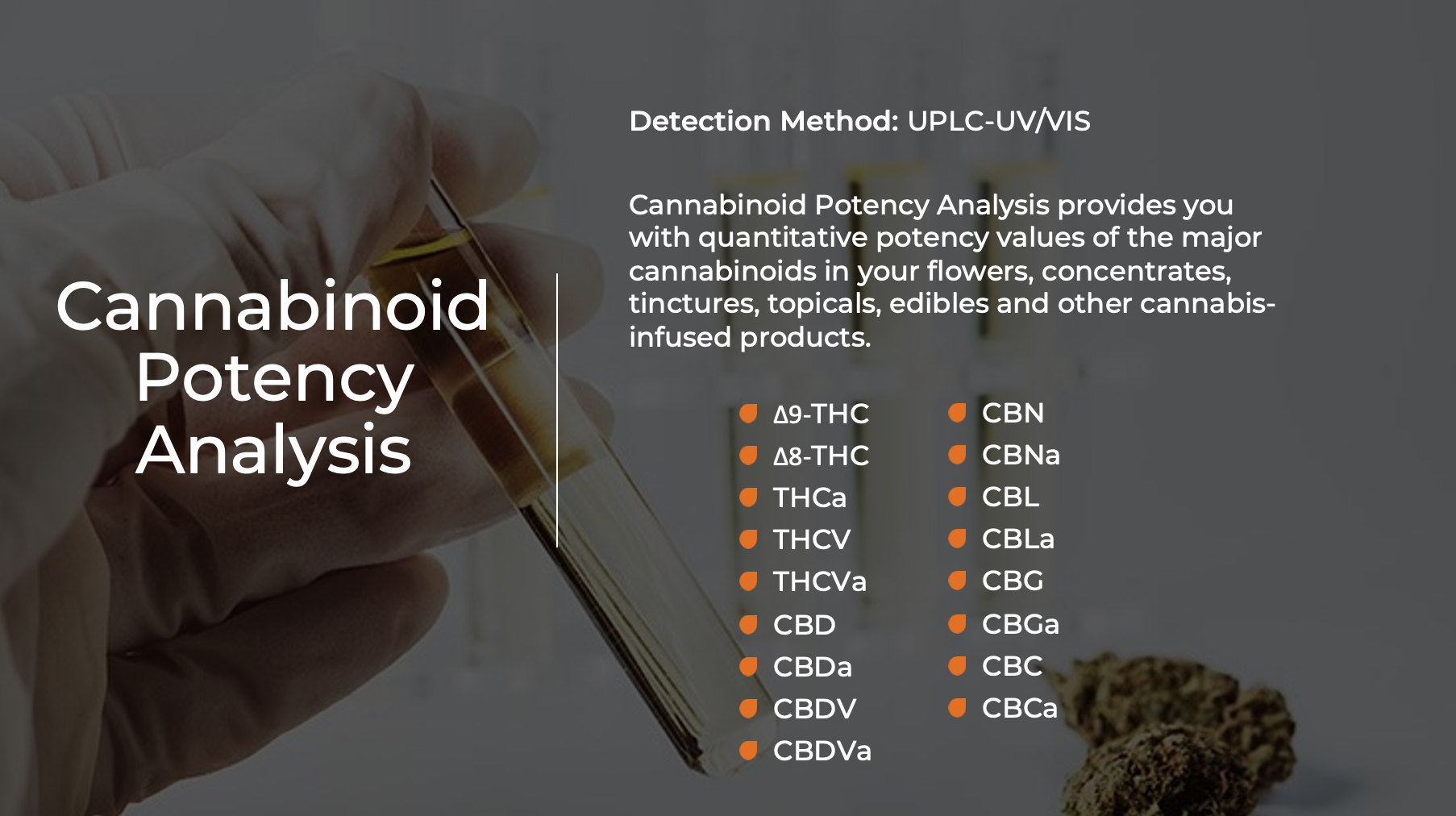 Cannabinoid Potency Analysis - Indo Labs